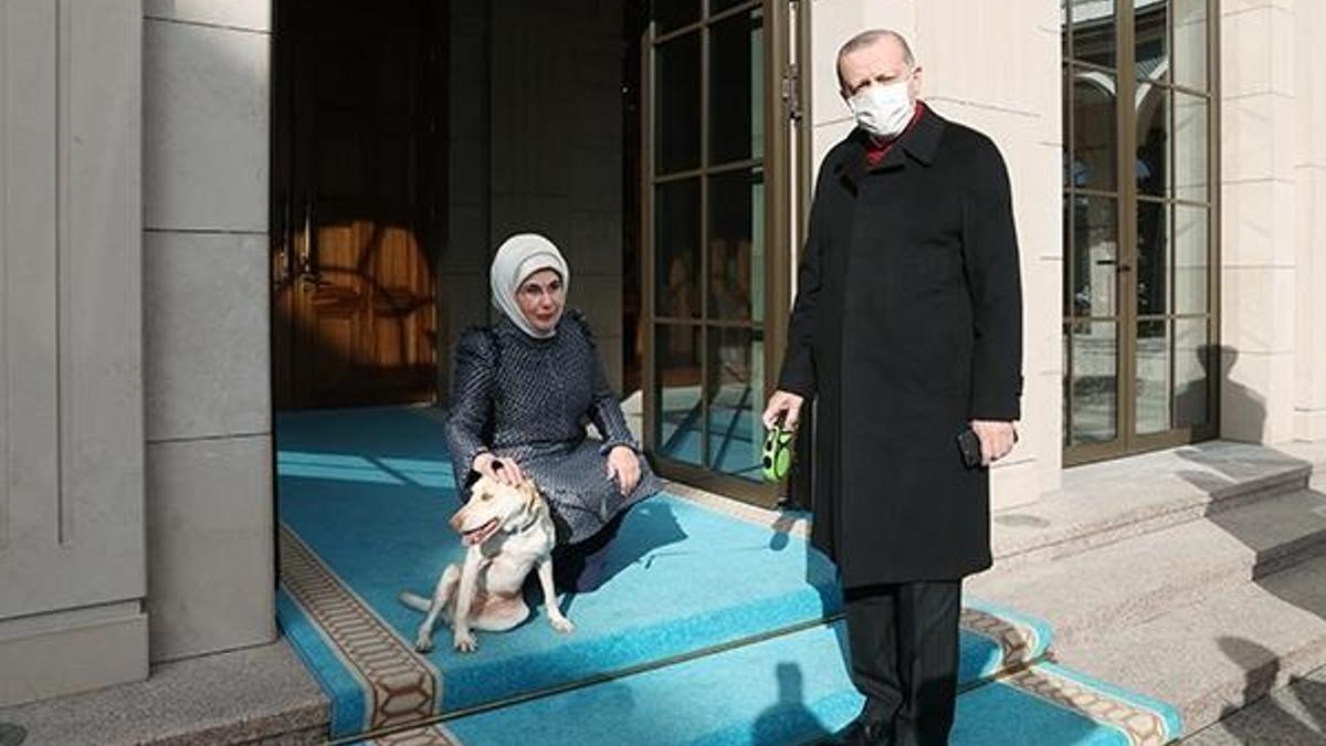 Emine Erdoğan 'Leblebi' ile Cumhurbaşkanı Erdoğan'ı uğurladı
