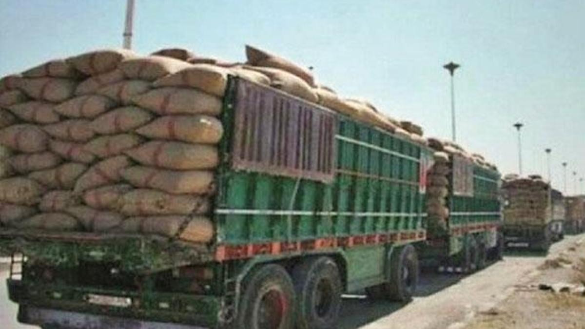 PKK satışa çıkardı! Suriye ve Irak'ta buğday hattı...