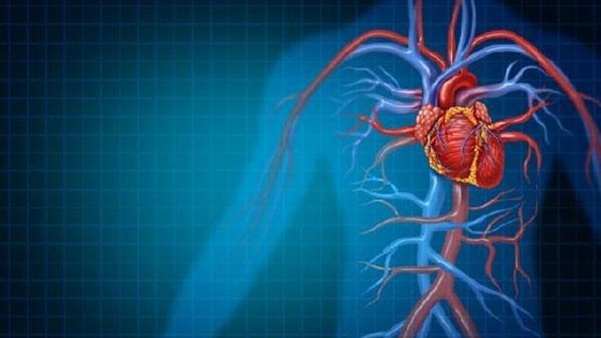 “Lupus hastalığı kalp krizine ve ani ölümlere yol açabilir”