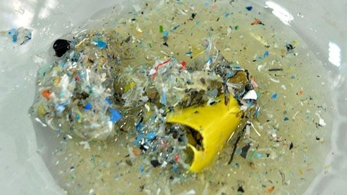 Paketli gıdalarda 'mikroplastik' tehlikesi