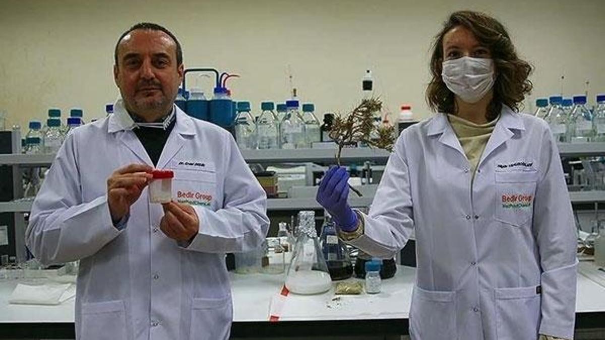 Geven otundan elde edilen molekül kanserle savaşacak