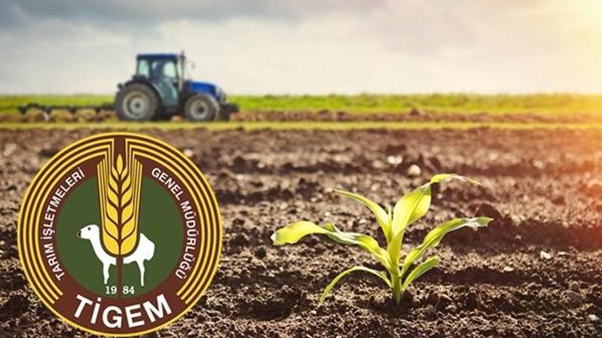 TİGEM personel alımı başvuru sonuçları açıklandı! TİGEM sınavı ne zaman?
