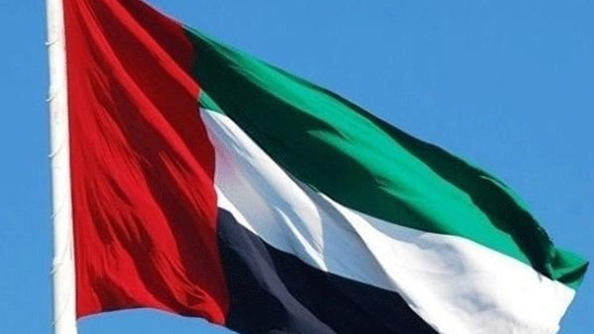 Birleşik Arap Emirlikleri'ndan flaş Türkiye açıklaması