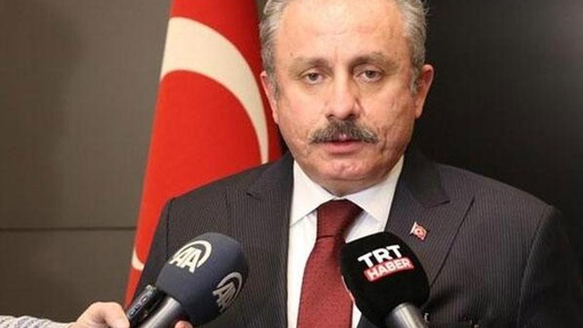 Meclis Başkanı Şentop'tan önemli açıklamalar