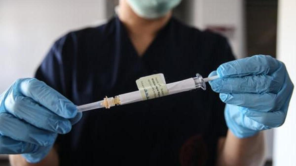 Aşı sıramı nasıl öğrenebilirim? SMS ve MHRS e-nabız korona aşı sırası sorgulama