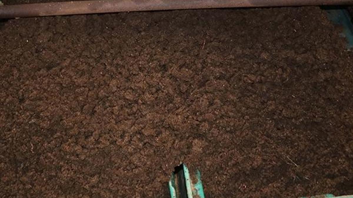Solucan gübresi satışları arttı! Yüzde 70 su tutuyor