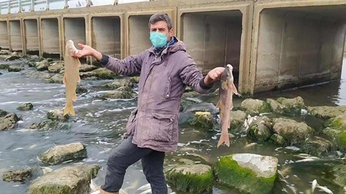 Binlerce balık telef oldu! 'Sabah geldik, resmen katliam olmuş'