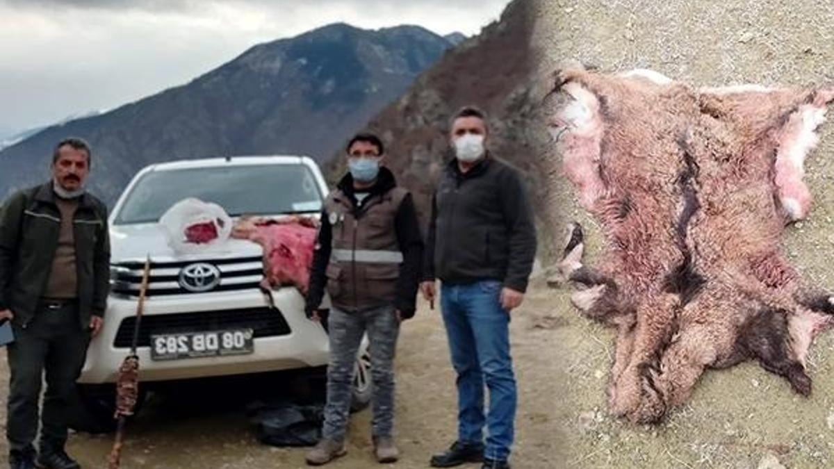 Artvin'de yaşandı! Avladıktan sonra döner yapıp yerken yakalandılar