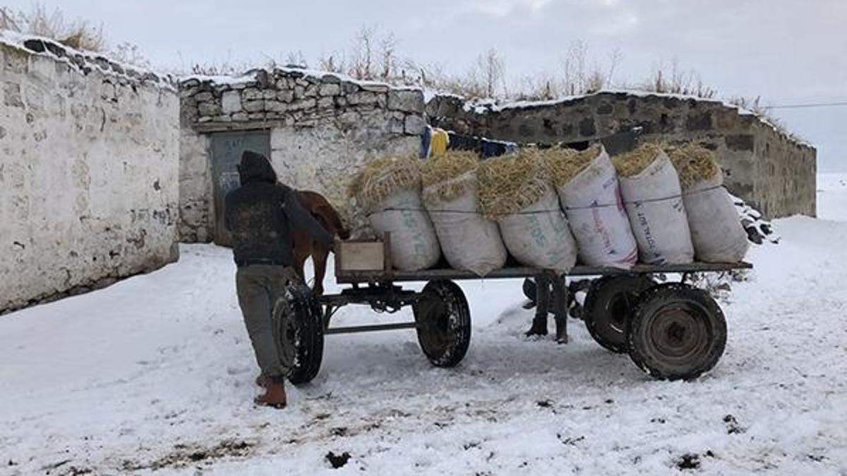 Kars'ın karla kaplı köylerinde yaşam mücadelesi