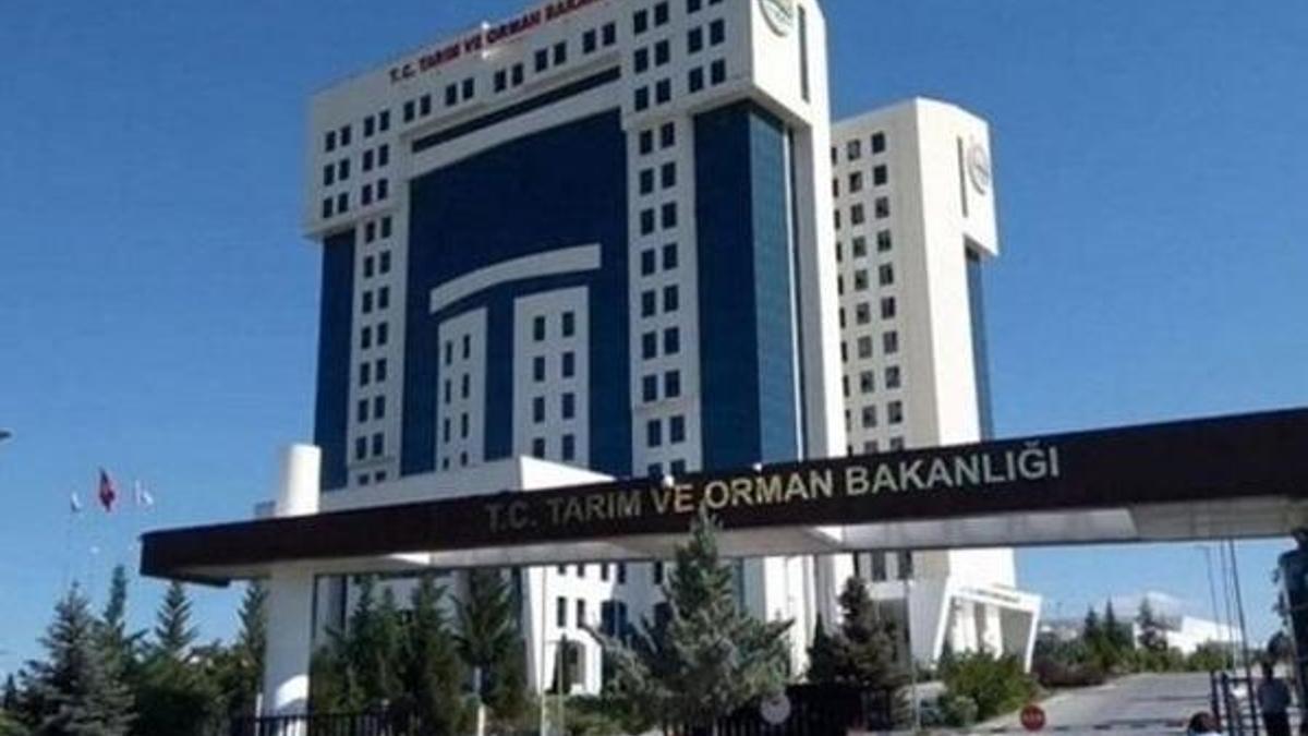 KPSS 2020/7 tercih kılavuzu güncellendi! Tarım ve Orman Bakanlığı personel alımı başvuru kılavuzu…