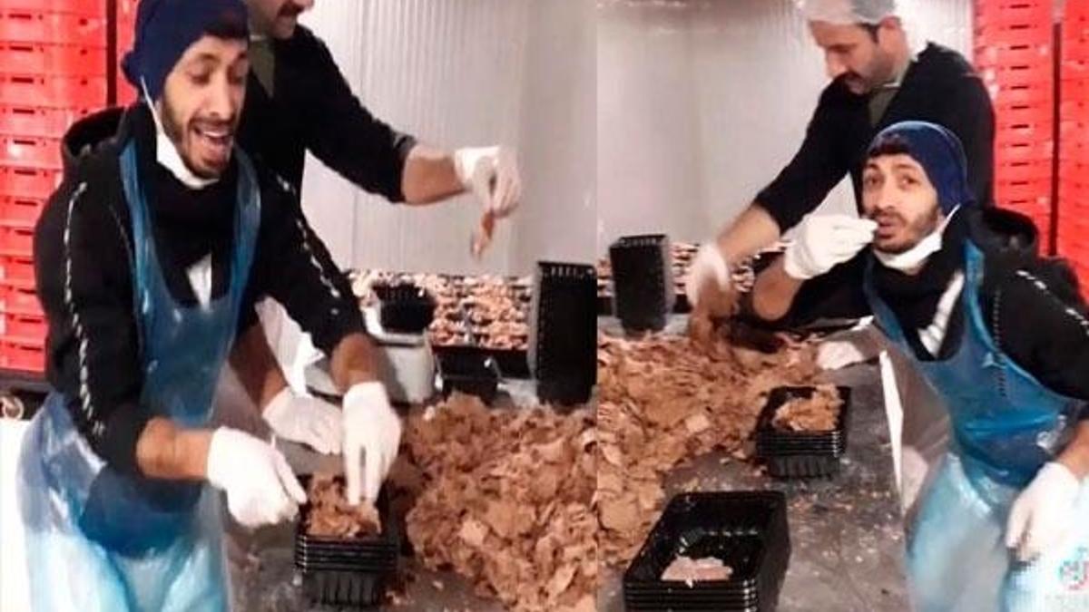 Mide bulandıran görüntü sonrası bakanlık hareket geçti!