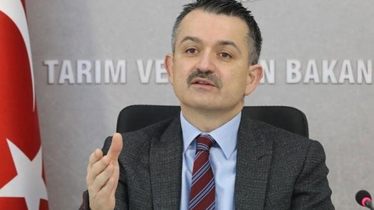 Gıda fiyatlarıyla ilgili flaş açıklama! Bakan duyurdu