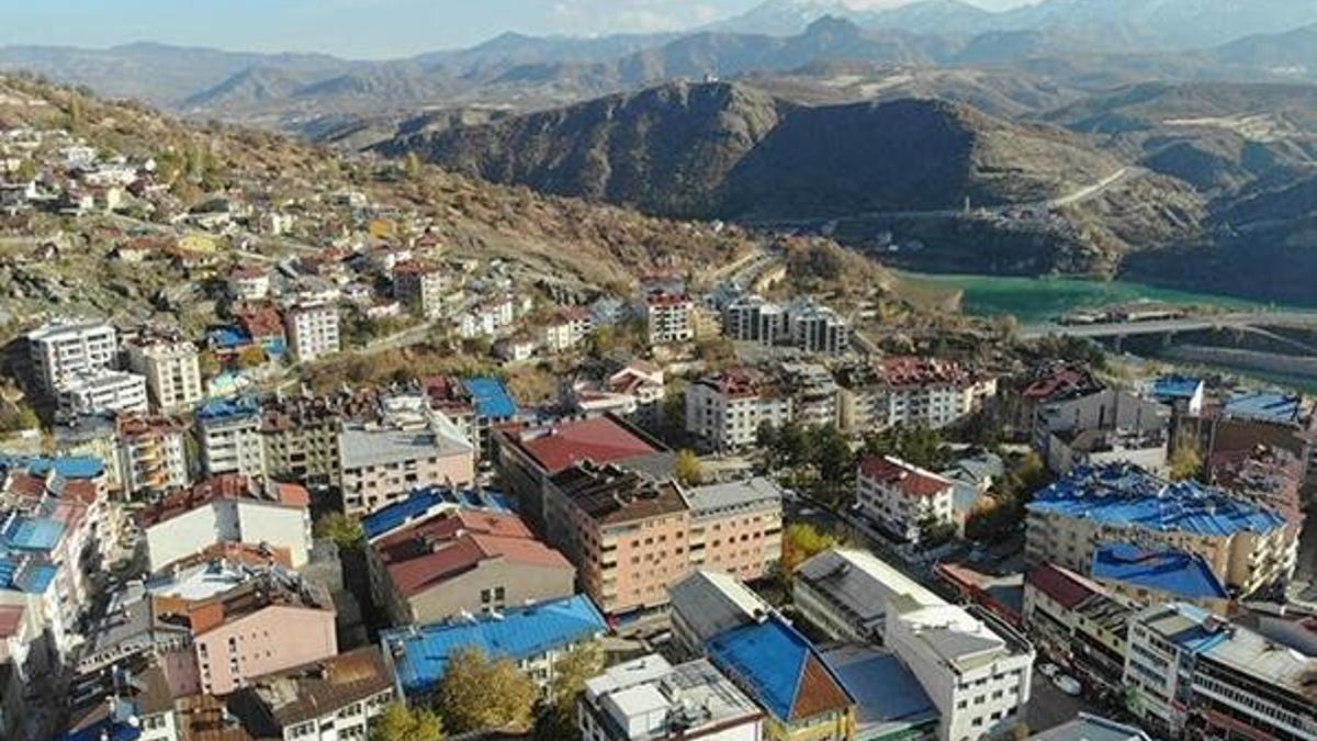 Mutasyonlu virüs paniği! Ankara'ya gönderildi!