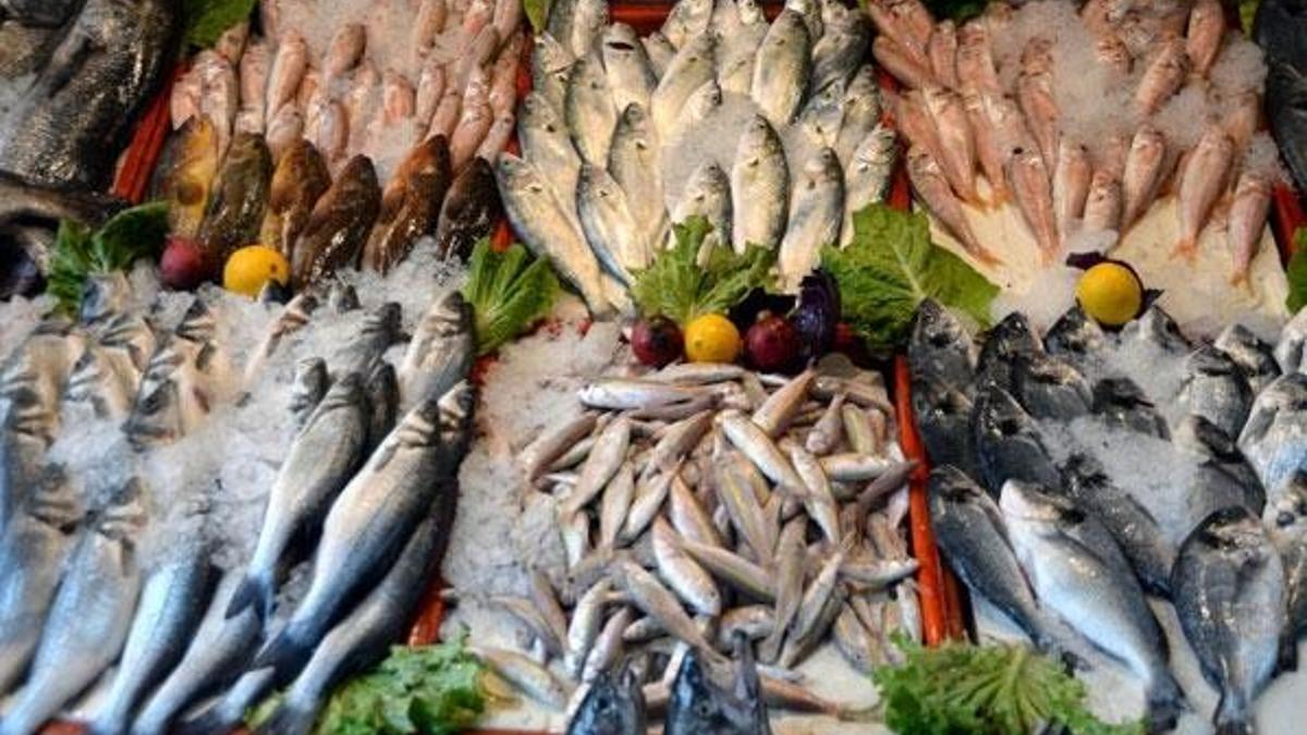 Akdeniz'de havalar iyi gitti, balık fiyatları artmadı