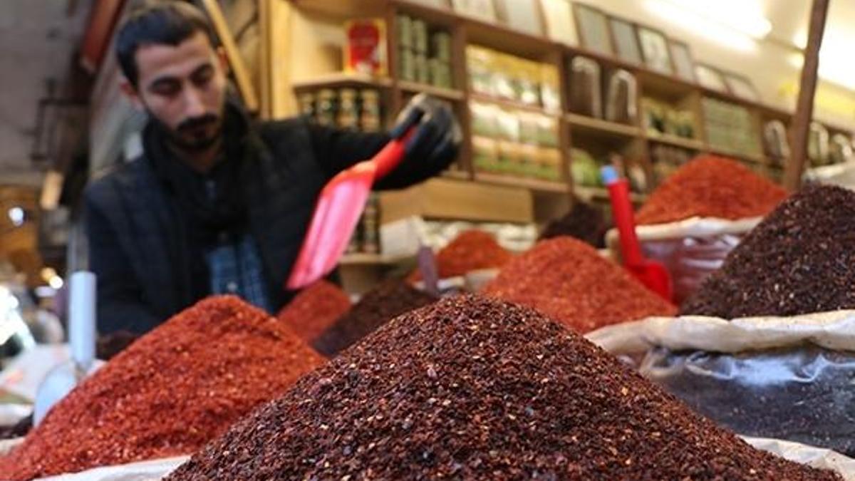 Şanlıurfa'ya 'İsot Müzesi' kurulacak! Çalışmalara başlandı