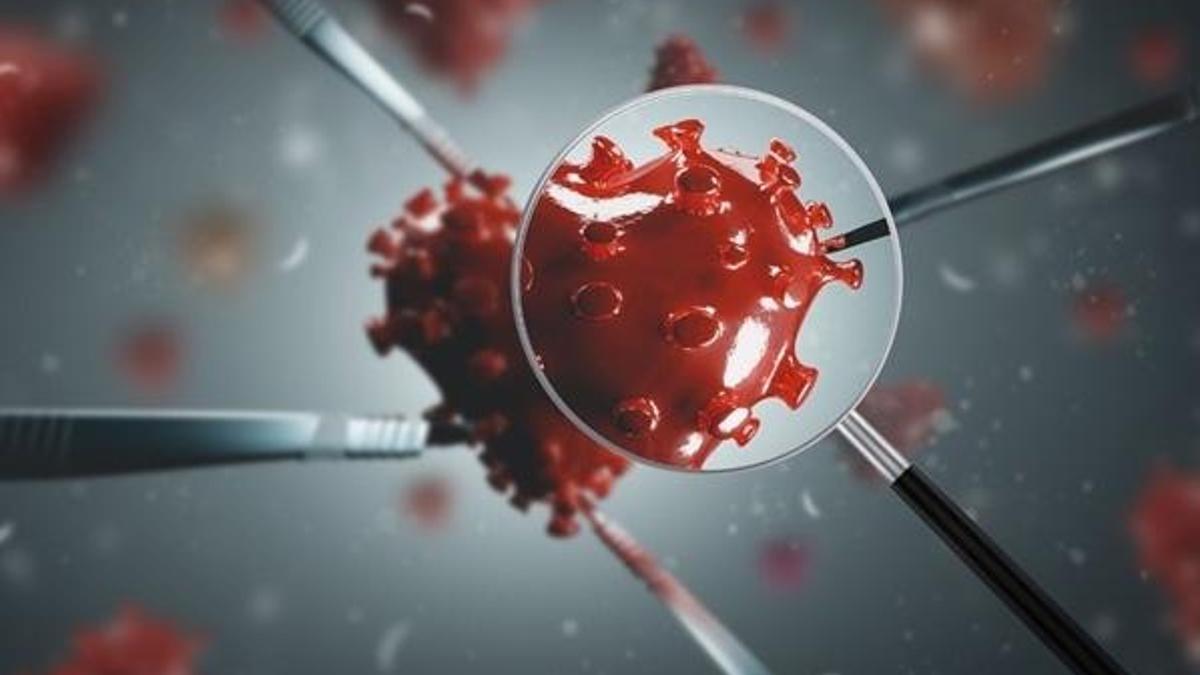 Mutasyon ne demek, nedir? Mutasyonun görüldüğü iller hangileri, 17 il neresi açıklandı mı?