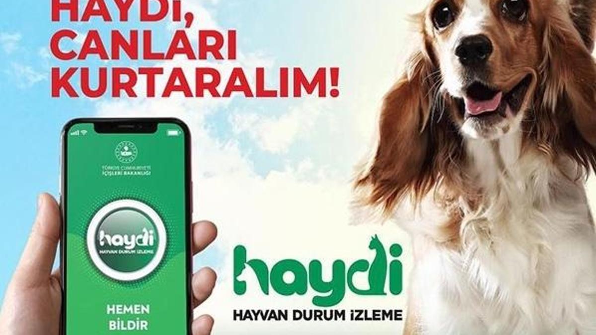 Haydi uygulaması nedir? EGM Haydi hayvan durum izleme uygulaması…