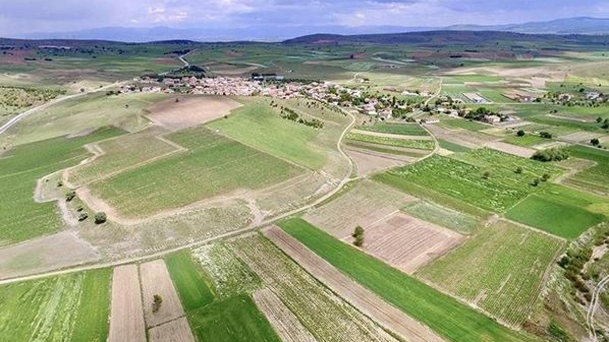 Arazilere devlet desteği! Değeri en az yüzde 20 oranında artacak!