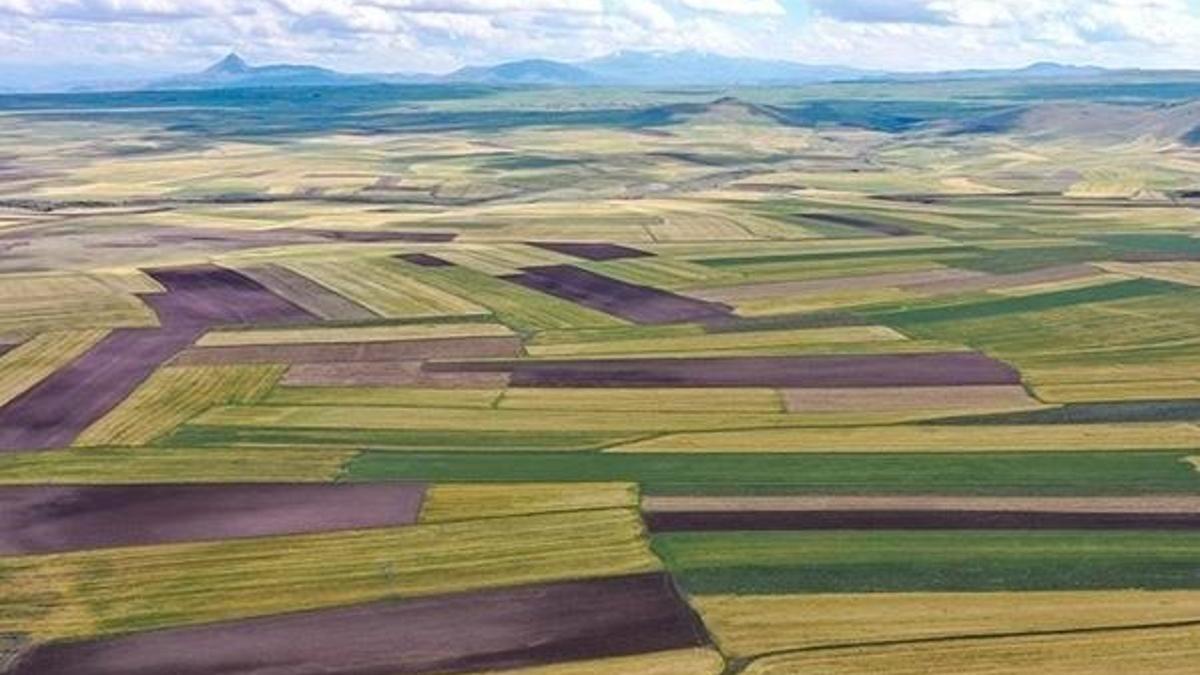Arsa yatırımı yapanlara cazip fırsat! 26 arsa satışı…