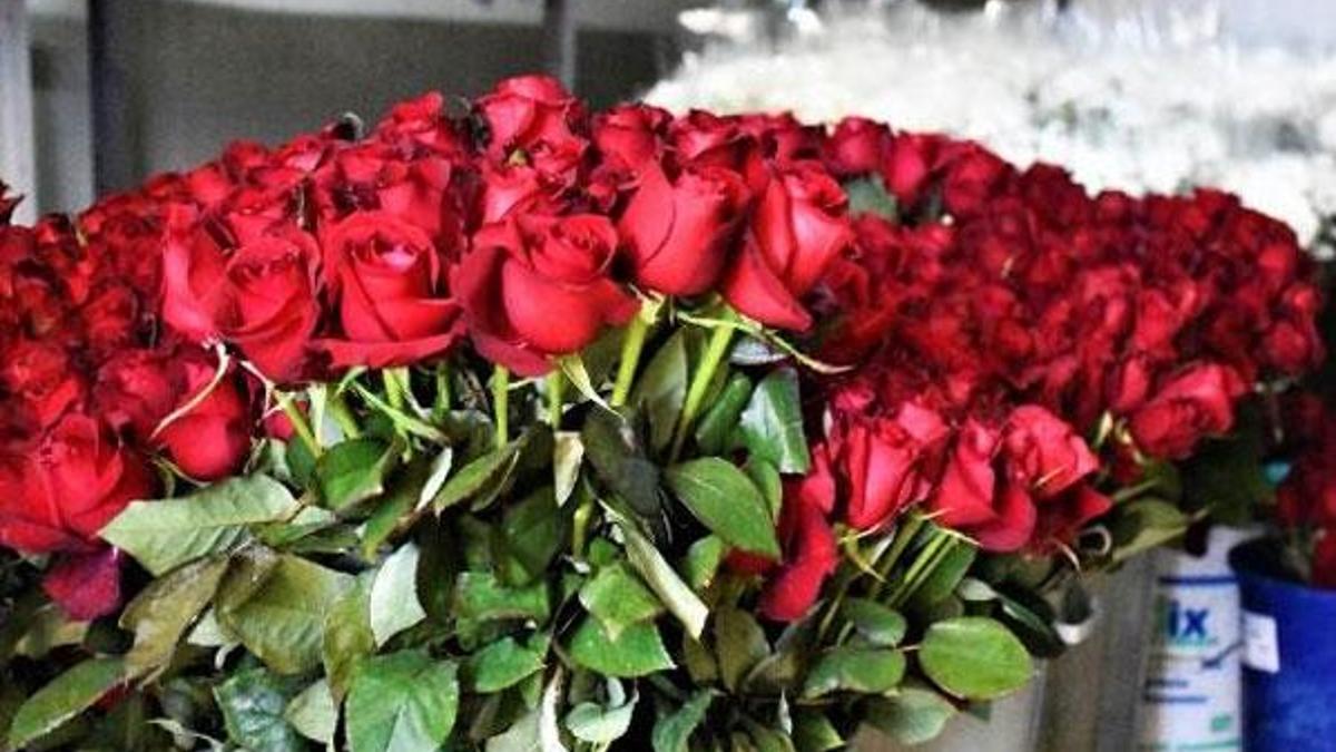 Çiçek fiyatları 2 kat arttı!