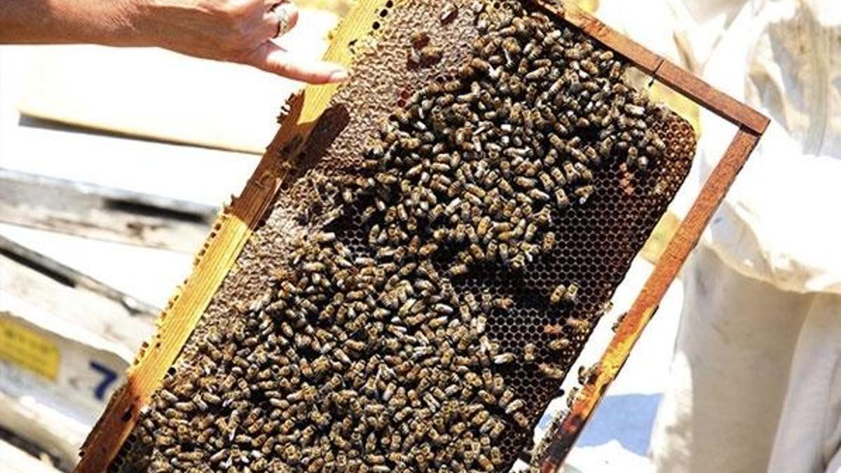 Sanal dünyanın koronavirüs hurafeleri; en çok bunlar arandı