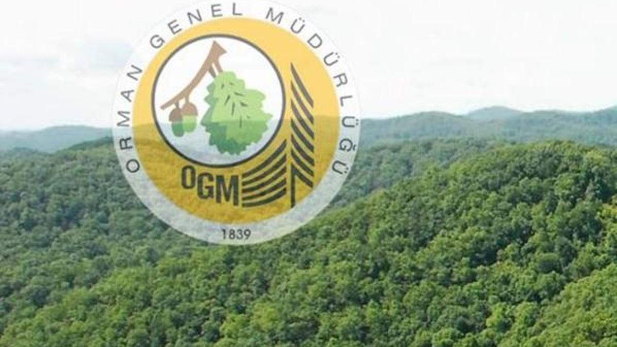 Orman Genel Müdürlüğü atama tercih işlemleri başladı! İşte kontenjan listesi!
