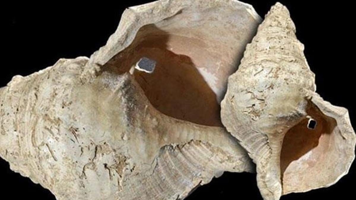 17 bin yıldır hayatımızda ama sesi ilk defa duyuldu