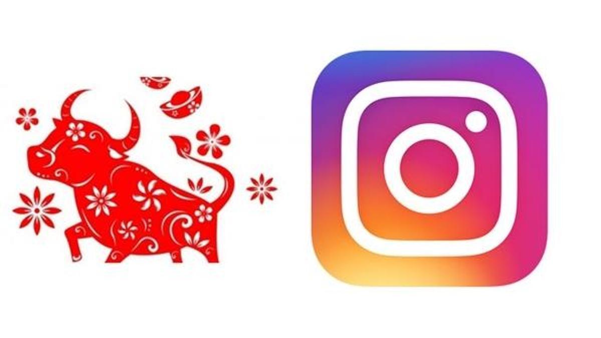 Instagram’da öküz yılı hikayesi nedir? Öküz yılı ne anlama geliyor, ne zaman sona ediyor? Öküz yılı Öküz yılında doğanların özellikleri…