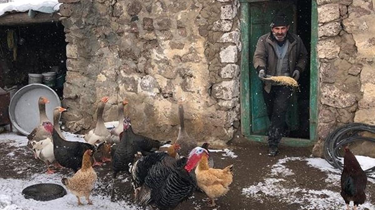 Hem evi hem işi idare ediyor: Evin direği kadınlarmış