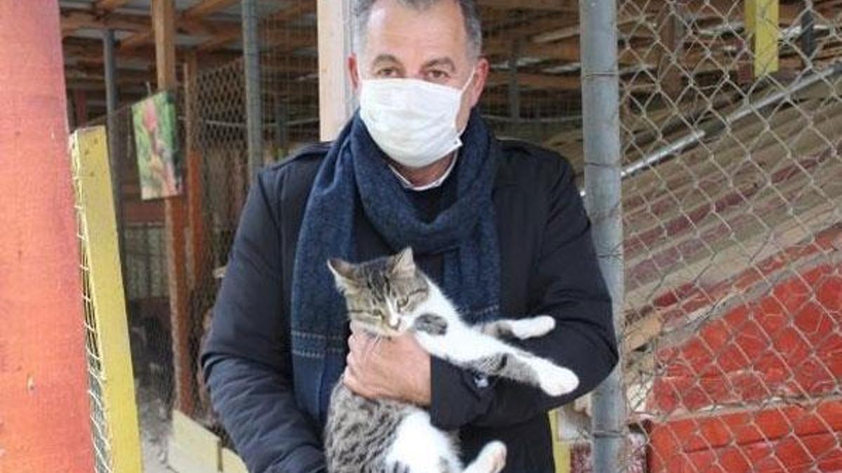 Evcil hayvan satışı yasaklandı