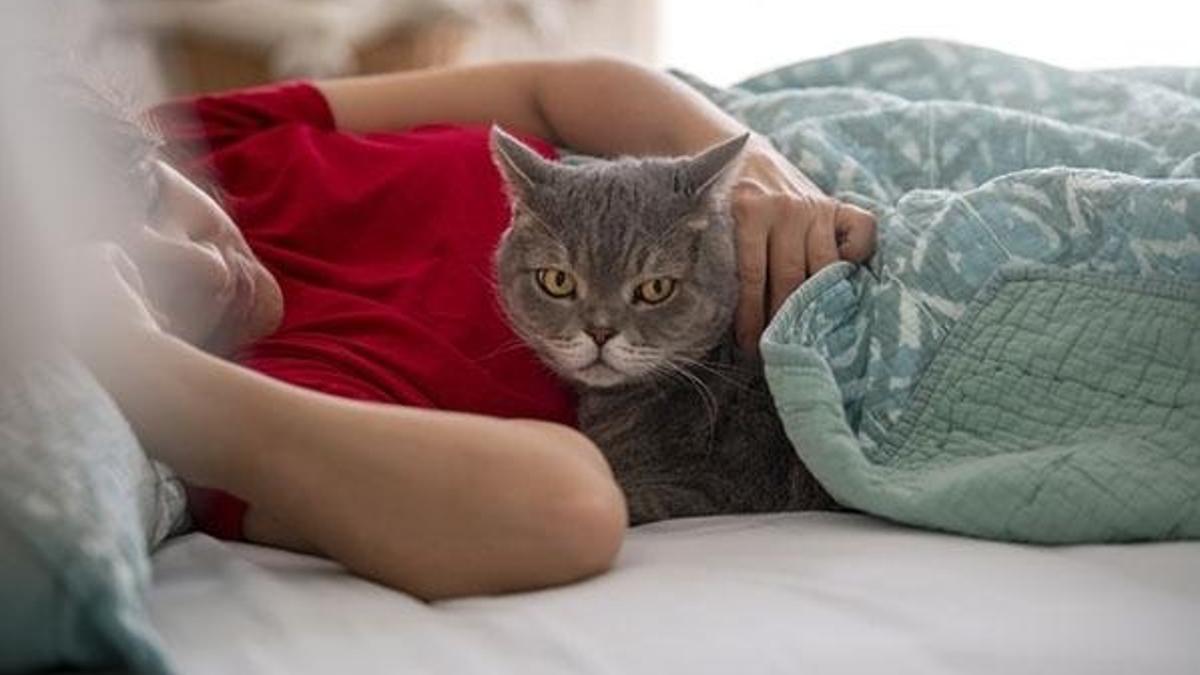 Kedi köpek sahipleri dikkat: Yeni dönem başlıyor