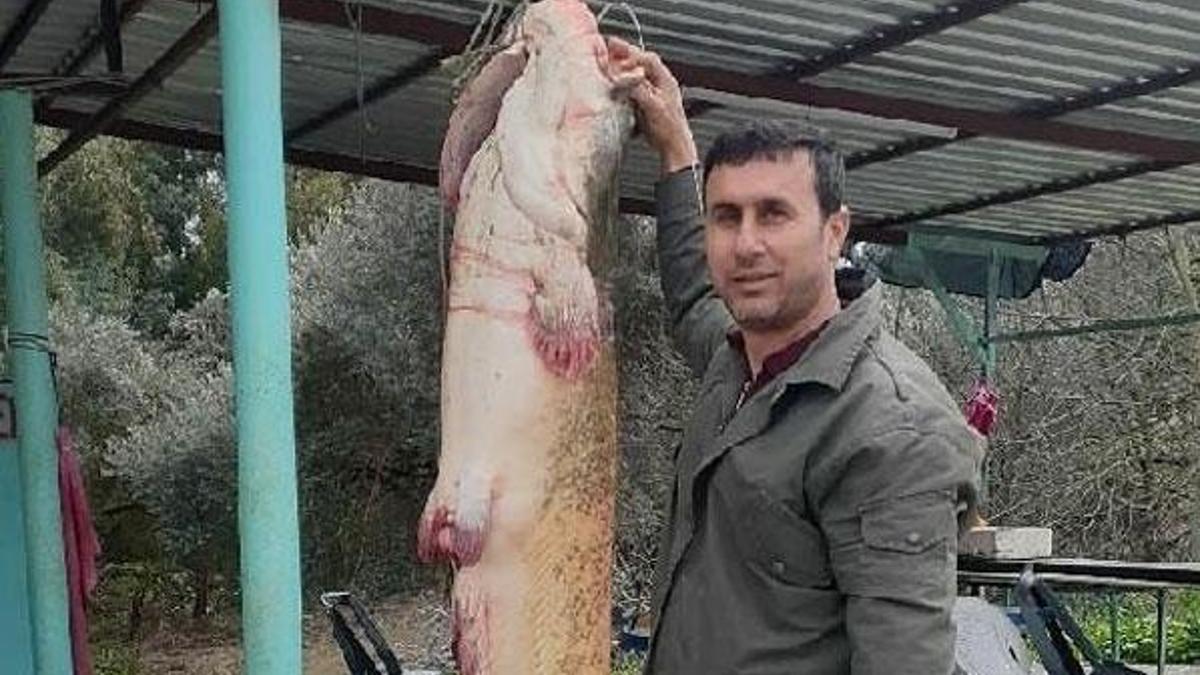 Üç balıkçı zor yakaladı! Dev balık