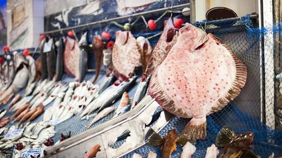 Şubat ayında hangi balık yenir?