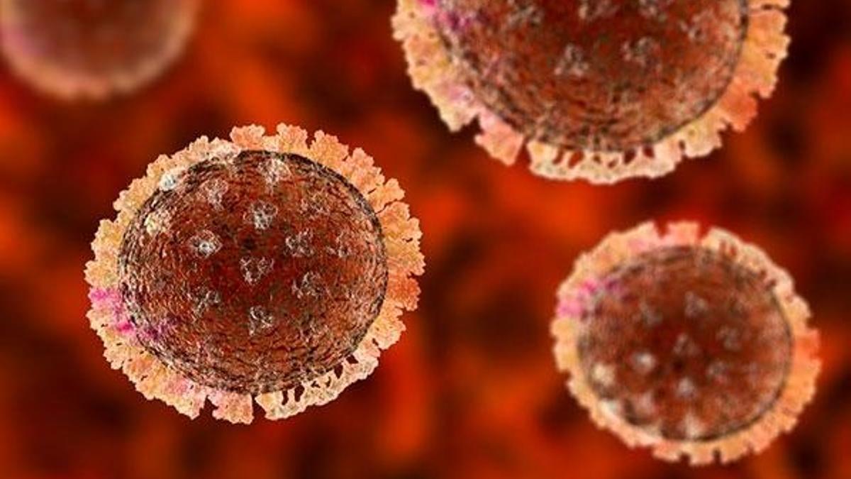Rusya'dan H5N8 açıklaması! İlk kez insanlarda tespit edildi