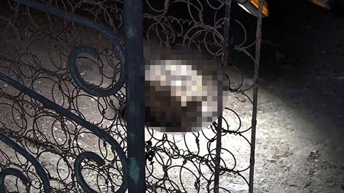 Temizlik yaparken buldu! ilk kez yaşıyorum, kafatası ve...