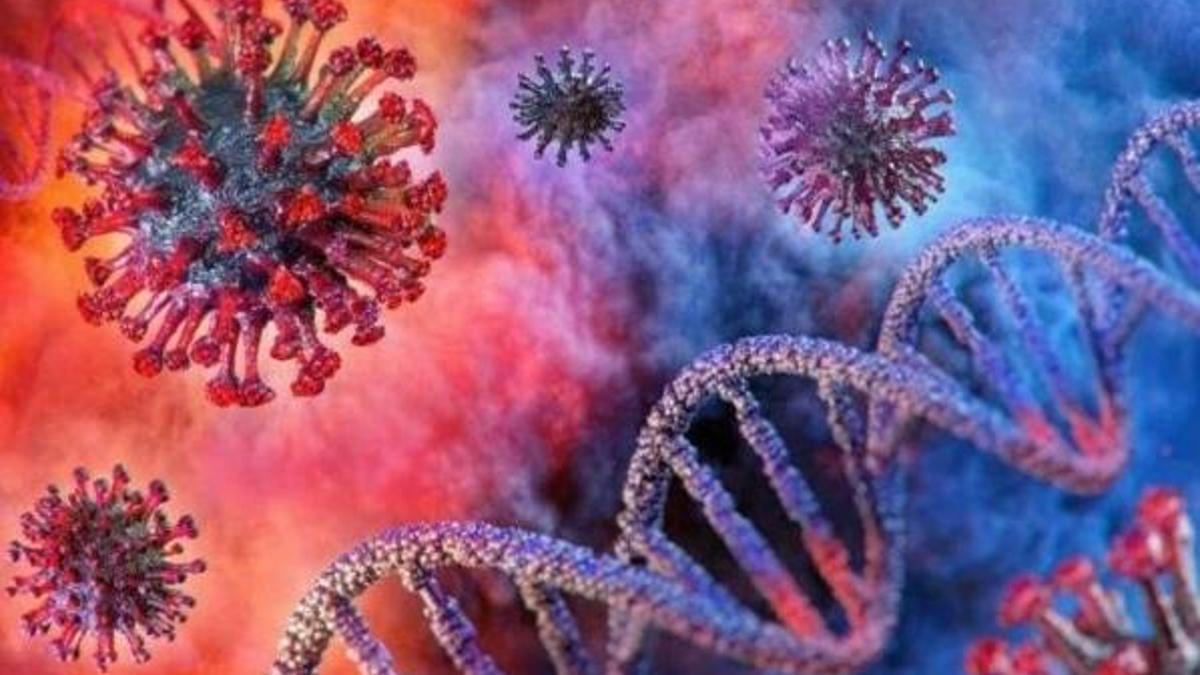 Nipah virüsü nedir? Nipah virüsü nasıl bulaşıyor, DSÖ'nün listesinde ilk 10'da olan Nipah virüsü hakkında merak edilenler…