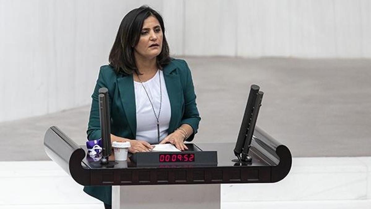 HDP'li Dirayet Dilan Taşdemir ile ilgili yeni belgeler ortaya çıktı!