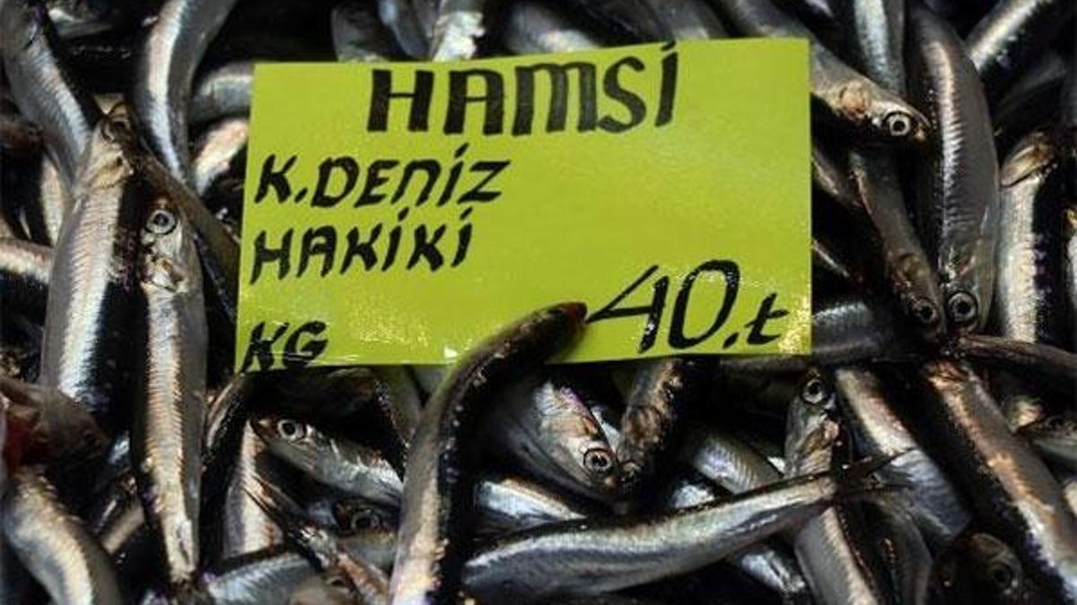 Balık fiyatları düştü! Kilosu 60 liraydı, şimdi...