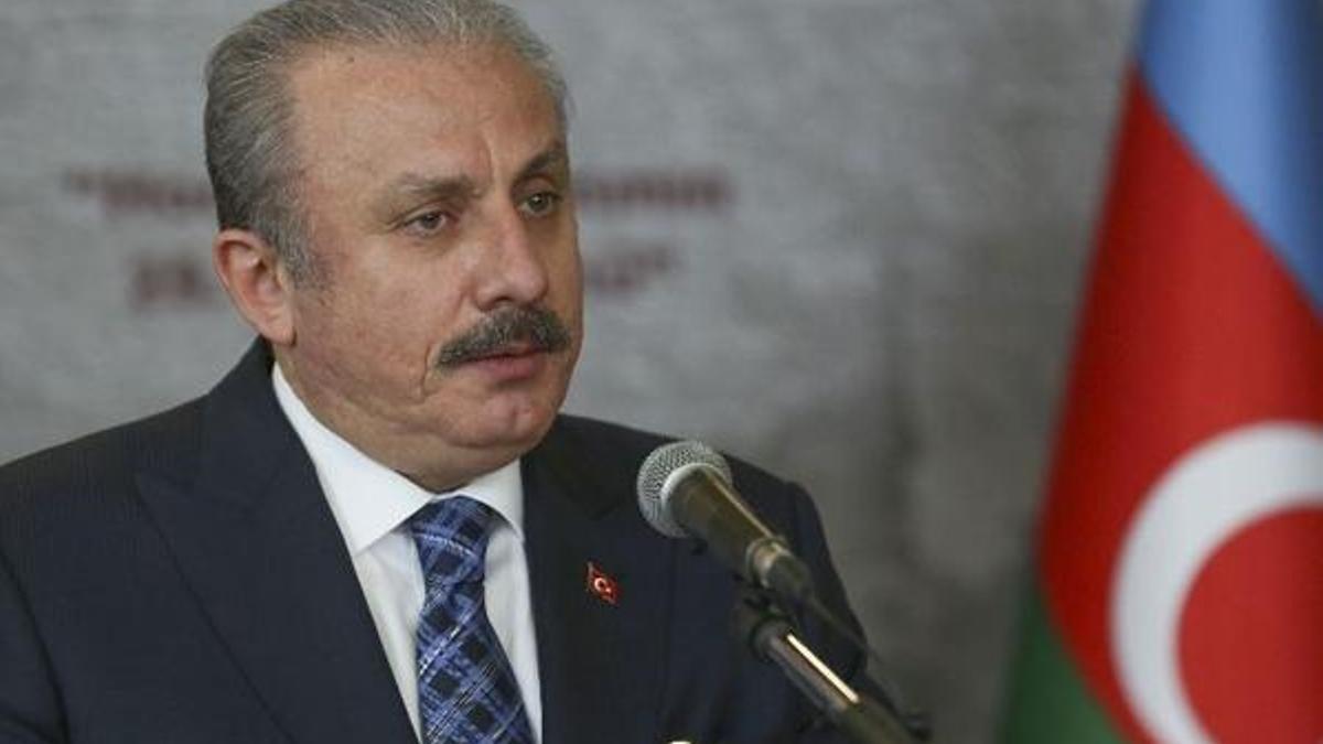 TBMM Başkanı Şentop: Mücadelemizi sürdüreceğiz