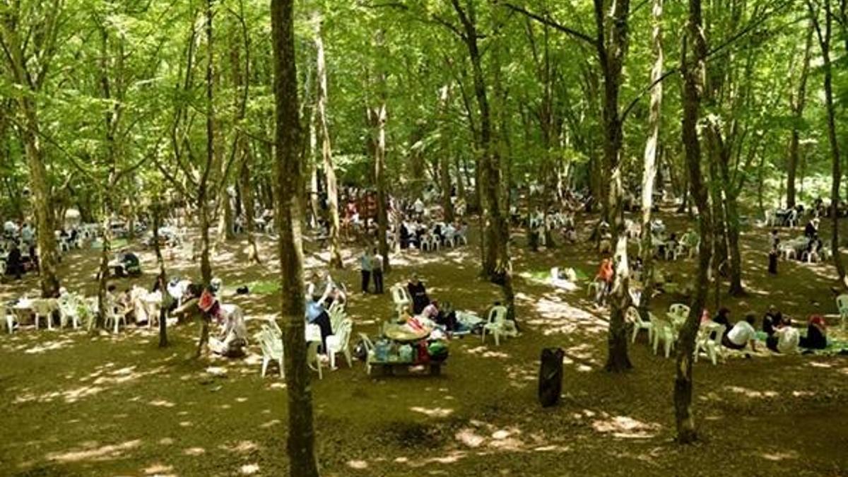 Piknik yapmak yasak mı, piknik alanları açık mı? Piknik alanlarında mangal serbest mı, mangal yasak mı?