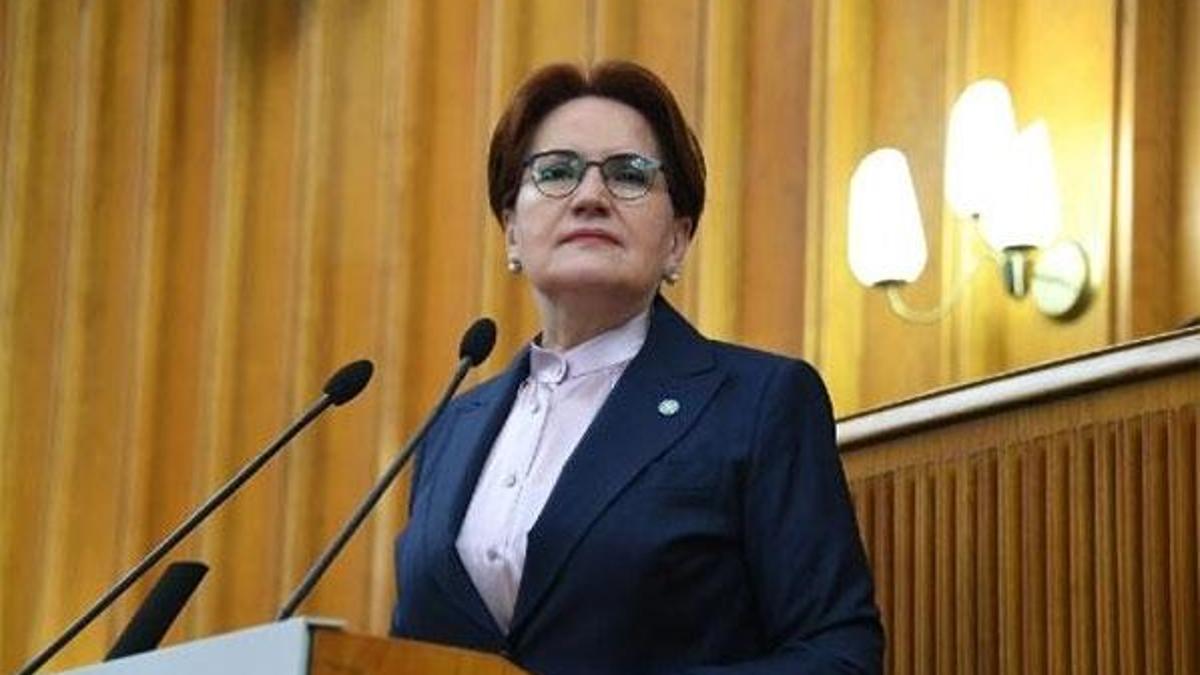 İYİ Parti Genel Başkanı Akşener'den fezleke açıklaması