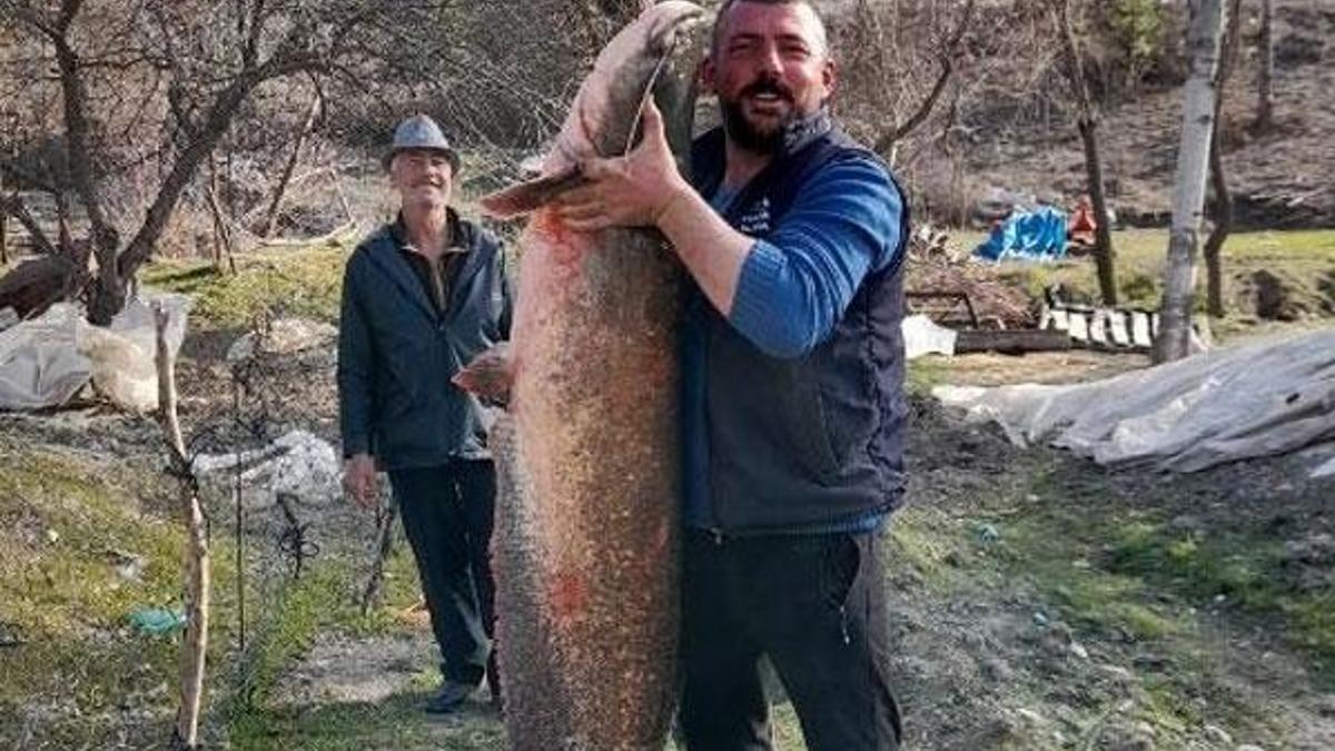 Baraj gölünde 47 kiloluk yayın balığı yakaladı