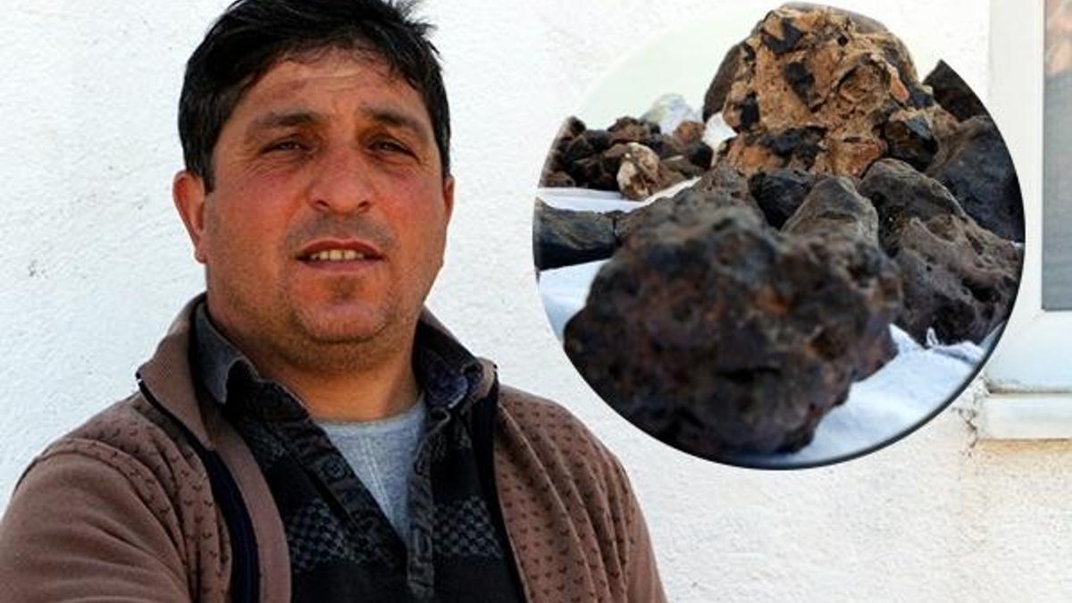 Koyunun ayağı takılınca ortaya çıktı! Değeri şok etti, zengin olacak