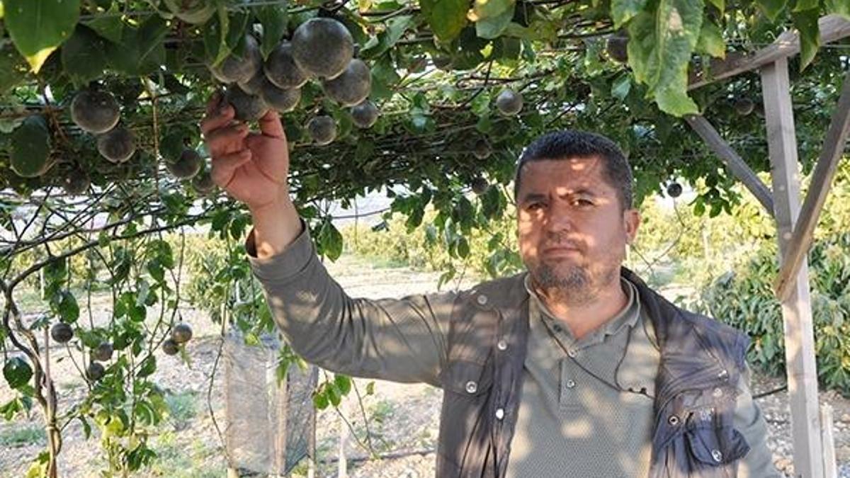 Büyük gelir kaynağı! 150 bin lira kazanıyorlar, ülkeler sırada bekliyor...