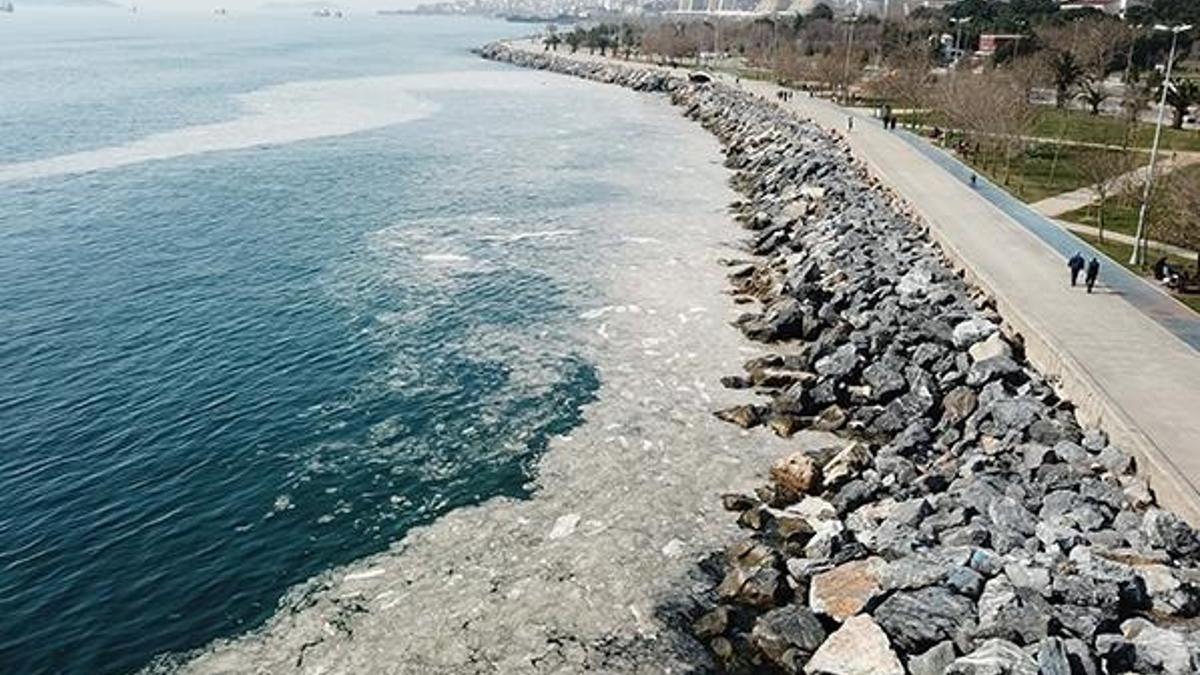 İstanbul'daki bu görüntü endişelendirmişti! Sırrı çözüldü