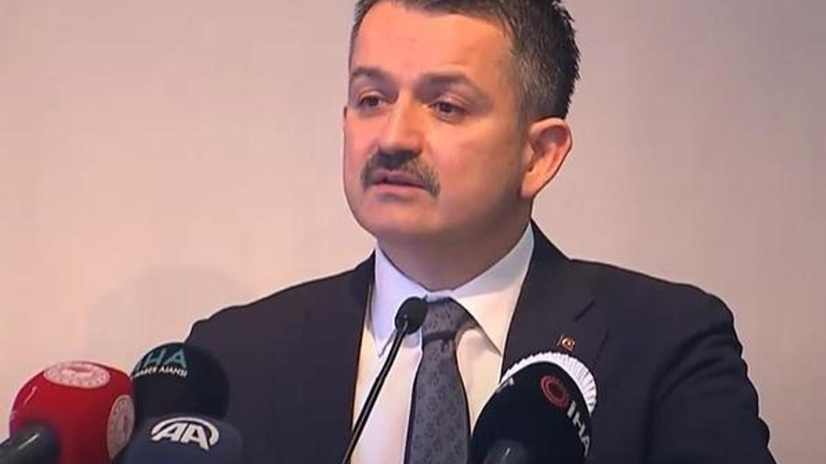 Bakan Pakdemirli: Nisan ayında başlangıcını yapacağız