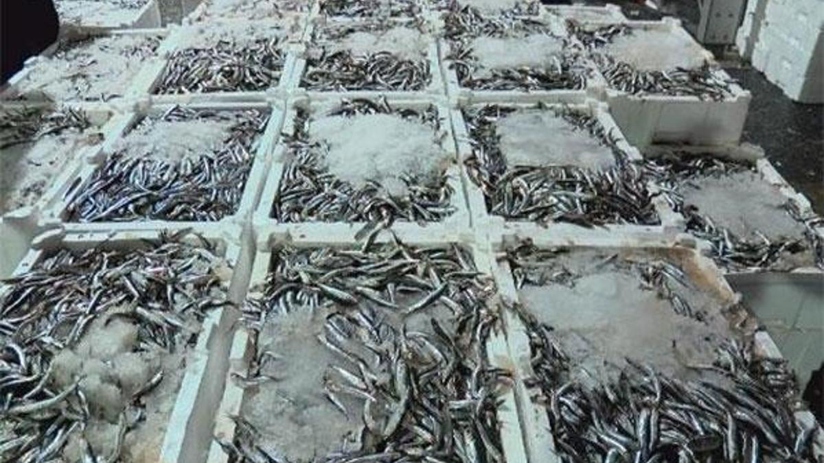 Zam geldi, fiyatlar yükseldi! Kilosu 60 lira...