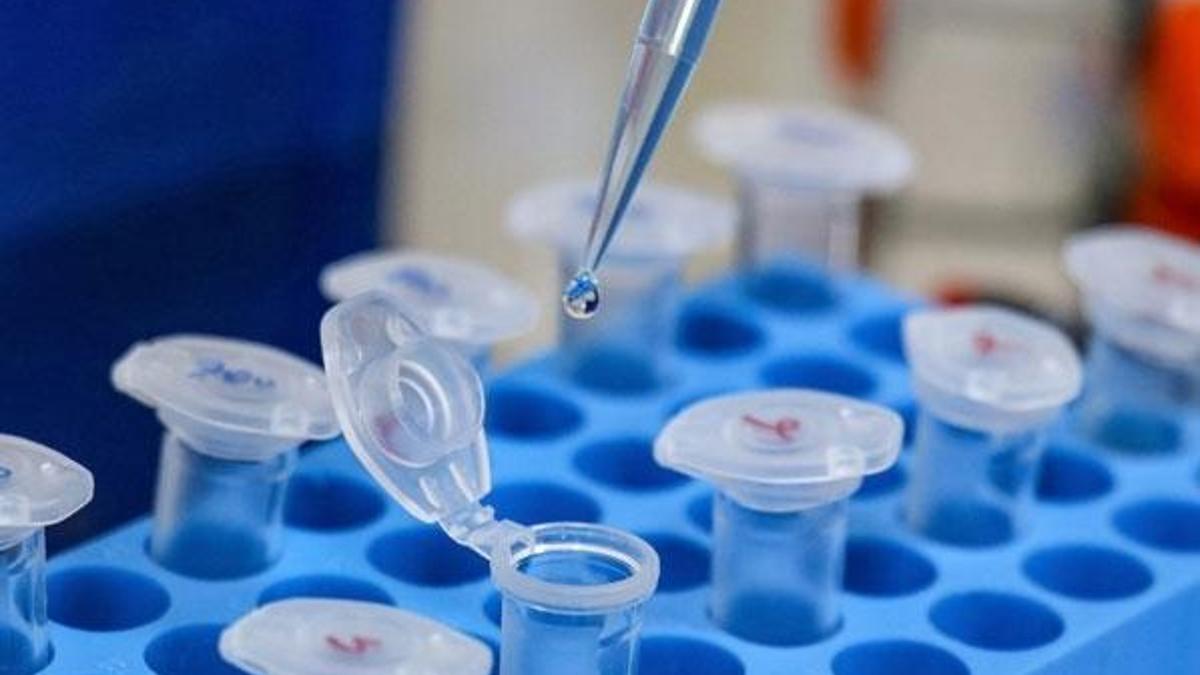 DNA incelenmesinde kullanılan "boyut belirteci"  geliştirildi
