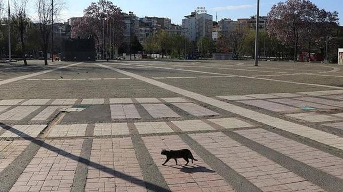 Hafta içi ve hafta sonu sokağa çıkma yasağı olan iller belli oldu mu? Sokağa çıkma yasağı hangi illerde var?