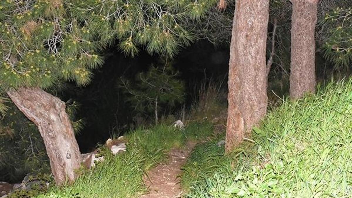 Ormanlık alanda bulundu! Kadın iç çamaşırı, başörtüsü, kafatası ve...